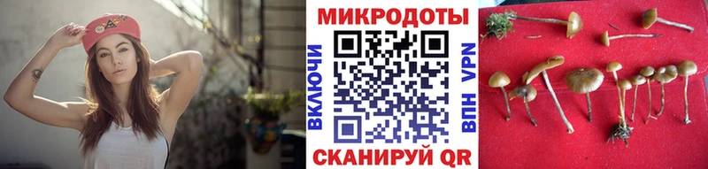 Галлюциногенные грибы мицелий Советск